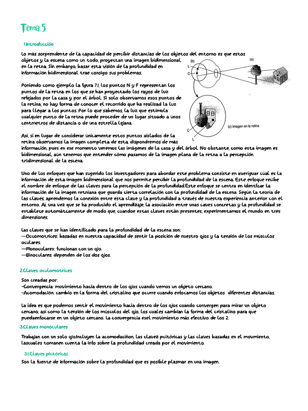 Miniatura del documento tema5.pdf