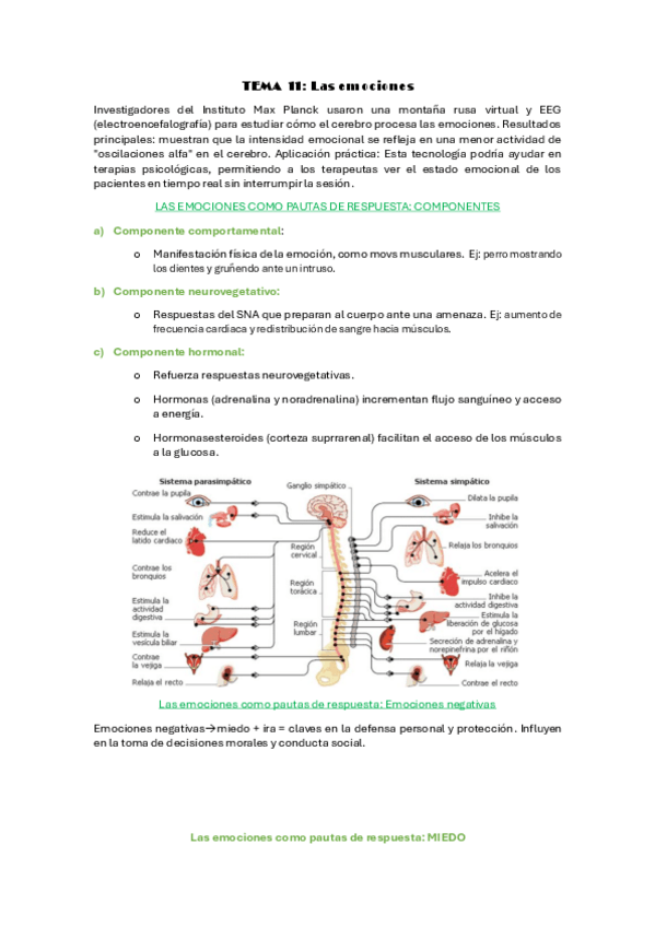 Miniatura del documento TEMA-11-psico-fisio.pdf