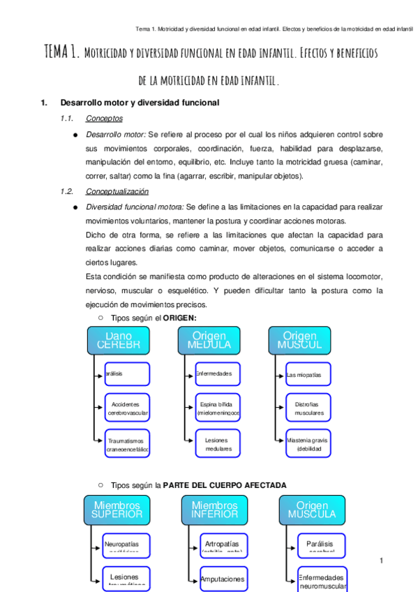Miniatura del documento Tema-1.-Motricidad-y-diversidad-funcional-en-EI.docx