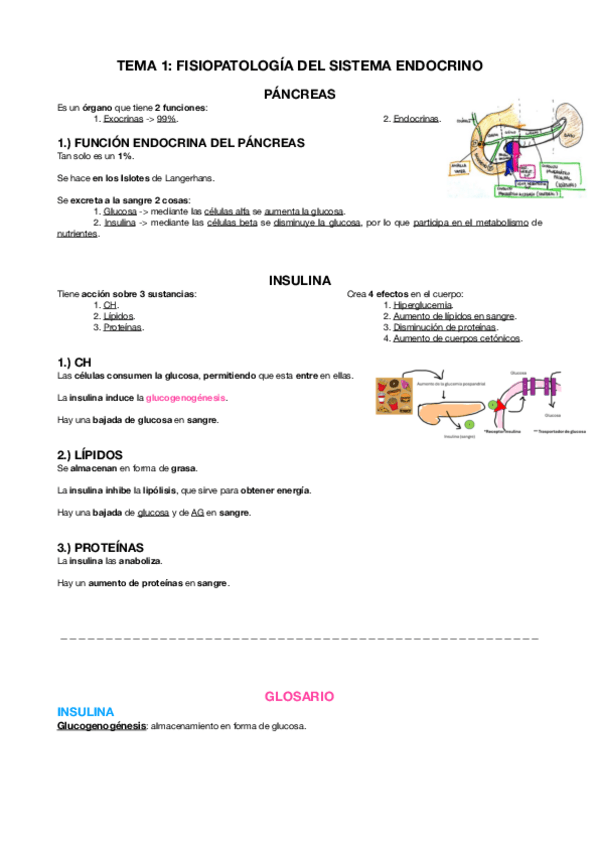 Miniatura del documento FISIOPATOLOGIA-ENDOCRINO-T.1.-Y-GLOSARIO.pdf