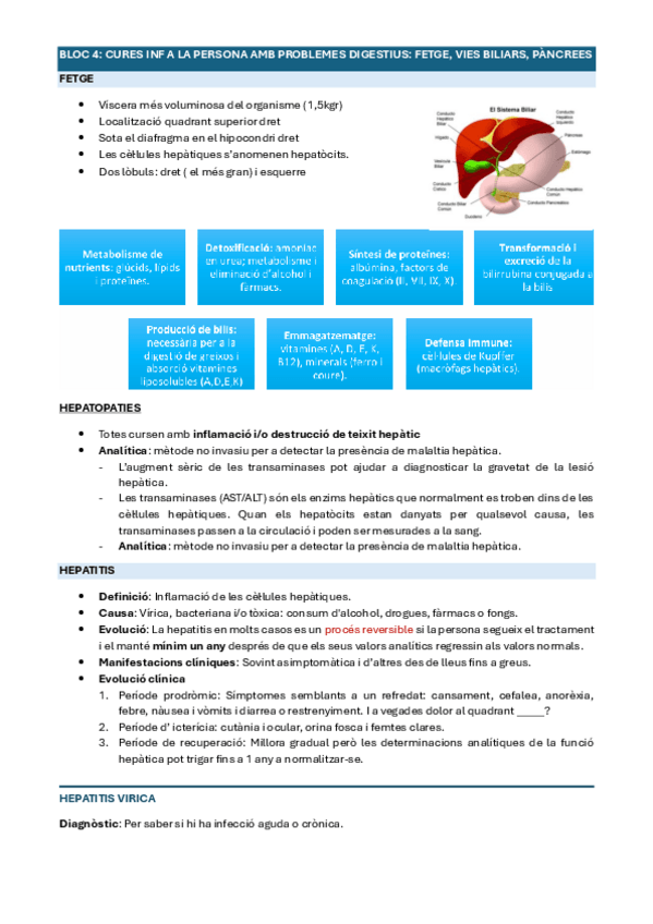 Miniatura del documento INF-CLINICA-B4-T3-FETGEJ-VIES-BILIARSJ-PANCREES.pdf
