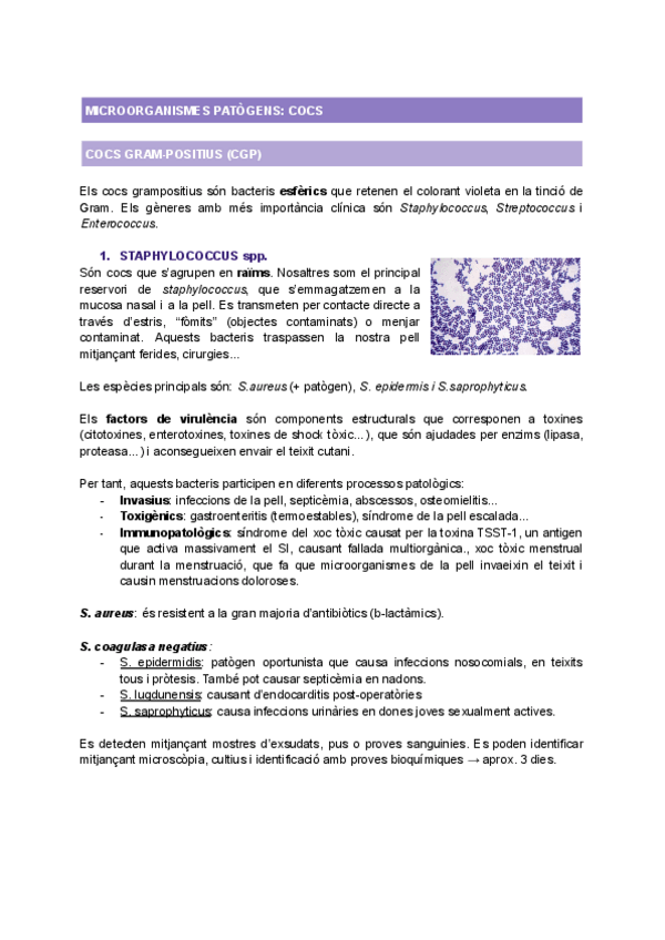 Miniatura del documento T9-COCS-PATOGENS.pdf
