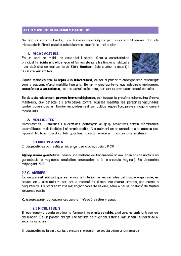 Miniatura del documento T11-ALTRES-PATOGENS.pdf