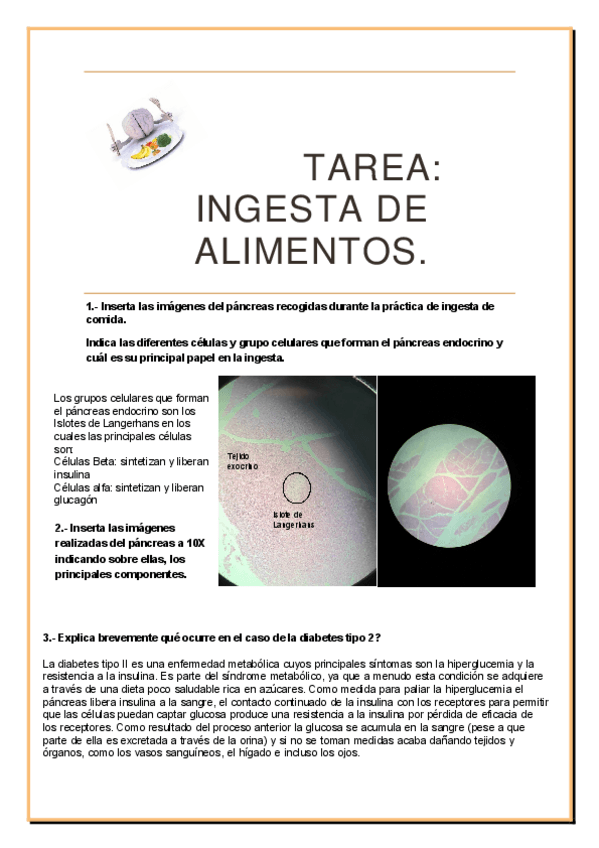 Miniatura del documento Practicas-PsicologiaFisiologica2425.pdf