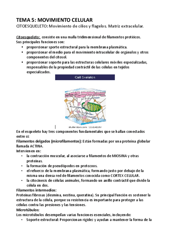 Miniatura del documento T-5.pdf