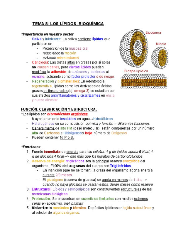 Miniatura del documento BIOQUIMICA.-TEMA-8-LOS-LIPIDOS.pdf