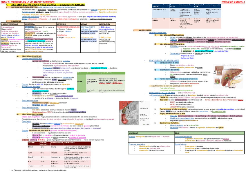 Miniatura del documento ESQUEMA-TEMA-17-PATOLOGIA-I.pdf