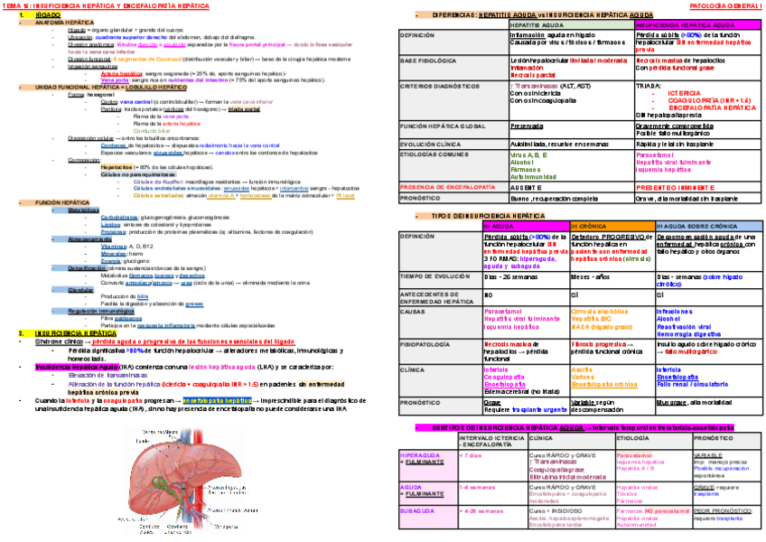 Miniatura del documento ESQUEMA-TEMA-15-PATOLOGIA-I.pdf