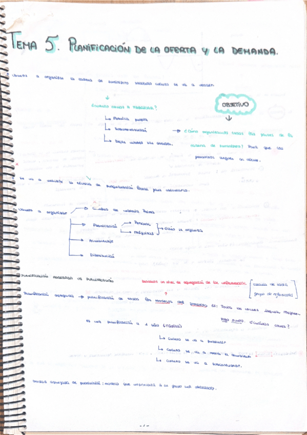 Miniatura del documento Tema-5-Planificacion-de-la-oferta-y-de-la-demanda.pdf