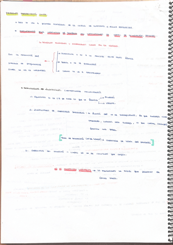 Miniatura del documento Tema-5-Problemas-de-programacion-lineal-.-Ejemplo-resuelto-y-explicado.pdf