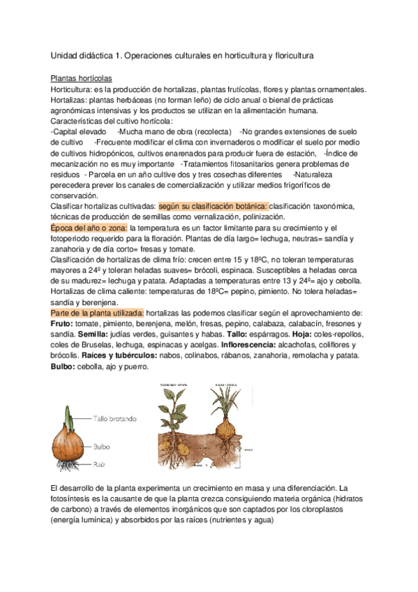 Miniatura del documento Jardineria-online.docx