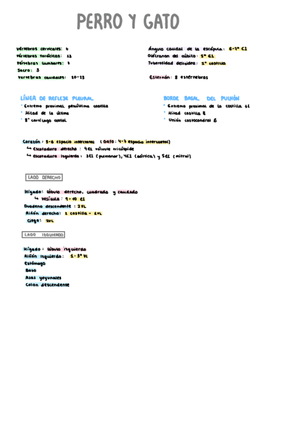 Miniatura del documento PRACTICO-TOPOGRAFIAS.pdf