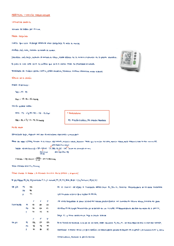 Miniatura del documento Practica-6-funcion-cardiovascular.pdf