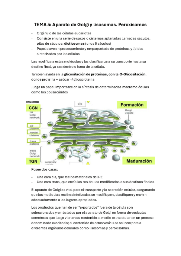 Miniatura del documento Tema-5-bio-2.pdf
