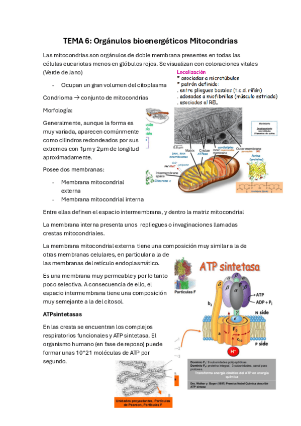 Miniatura del documento Tema-6-bio-2.pdf