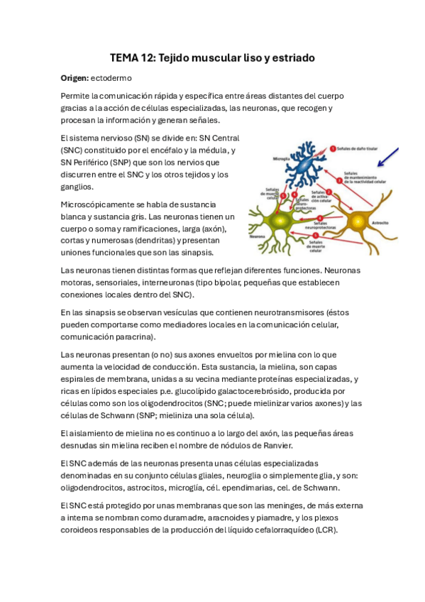 Miniatura del documento Tema-12-bio-3.pdf