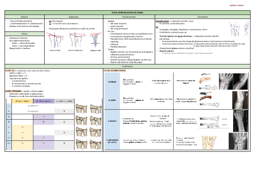 Miniatura del documento MUNECA-Y-MANO-.pdf