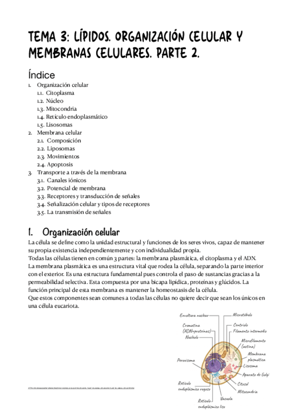 Miniatura del documento Bioquimica-T3.-Parte-2-y-3..pdf