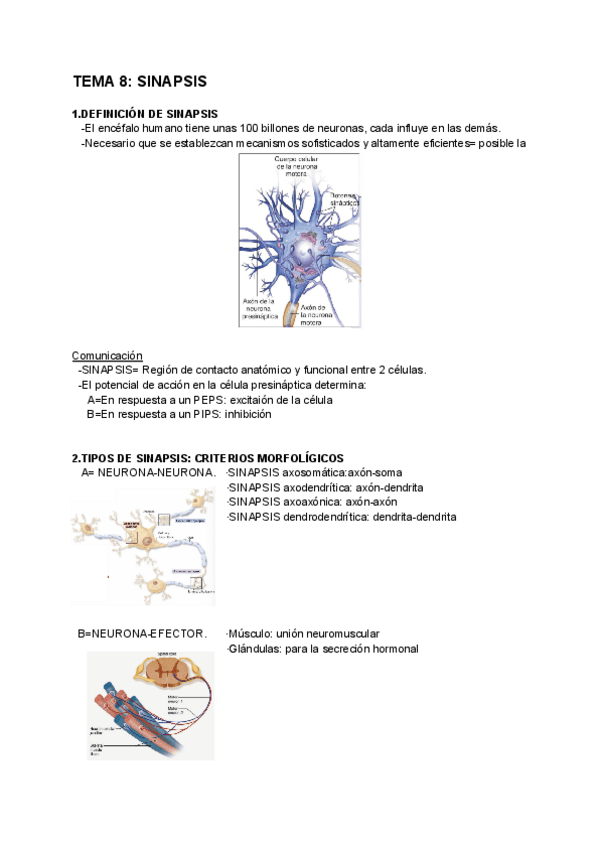 Miniatura del documento Sinapsis-Tema-8.pdf
