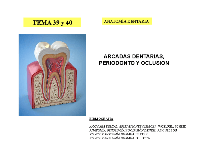 Miniatura del documento TEMA-39-Y-40.pdf