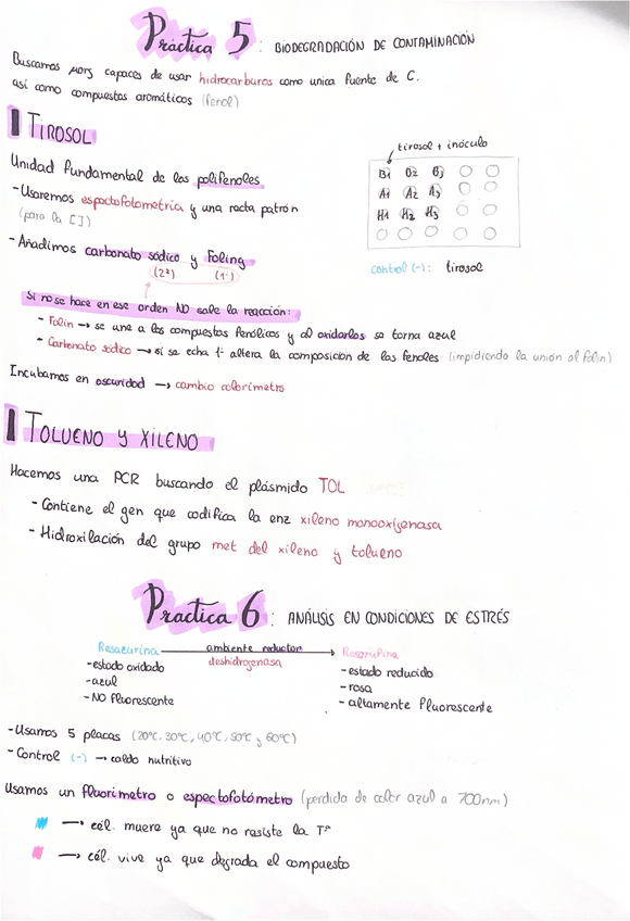 Miniatura del documento P5-P6-y-P7-Ambiental.pdf