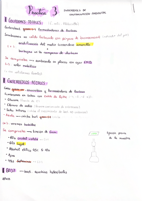 Miniatura del documento P3-y-P4-ambiental.pdf