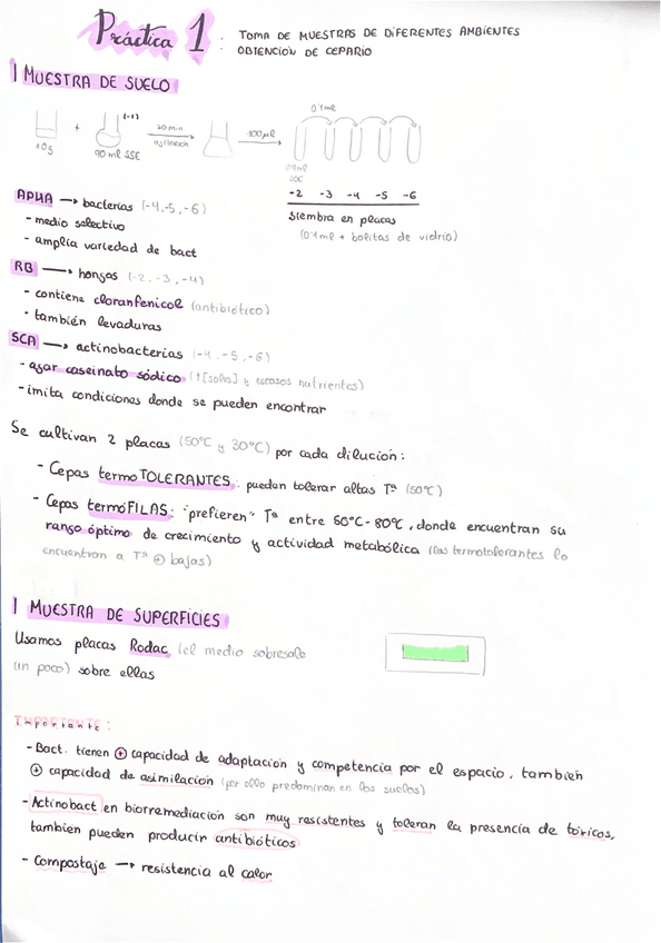 Miniatura del documento P1-y-P2-Ambiental.pdf