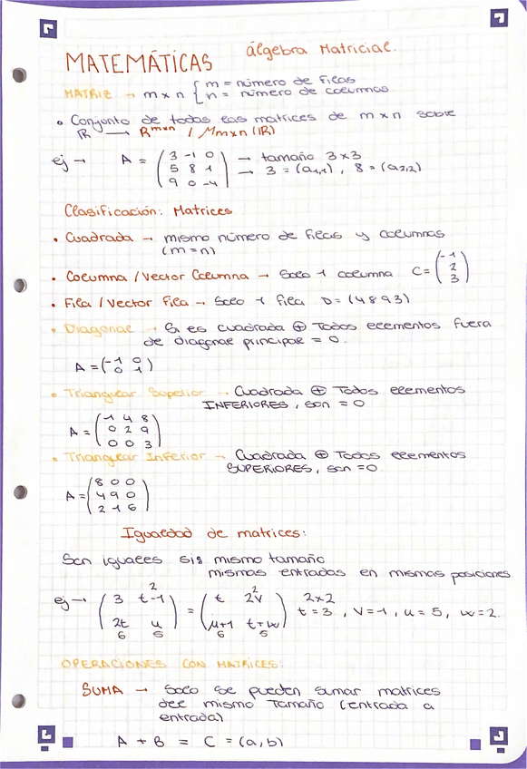 Miniatura del documento apuntes-tema-matrices-matematicas.pdf