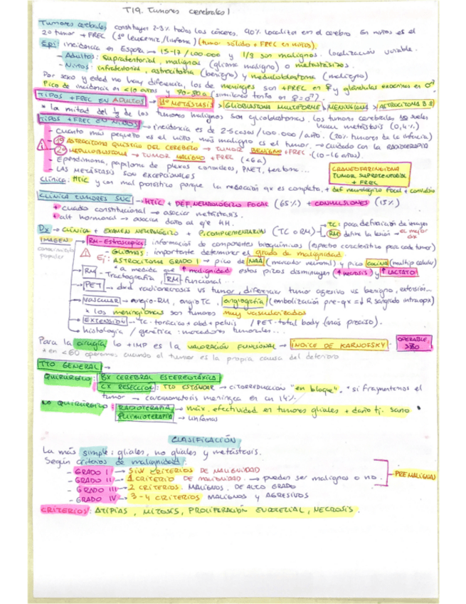 Miniatura del documento T19-RESUMEN-NEUROCX.pdf