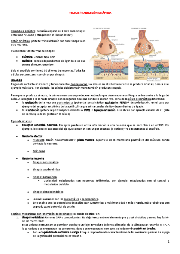 Miniatura del documento FISIO-2oPARCIAL-APUNTES-COMPLETOS.pdf