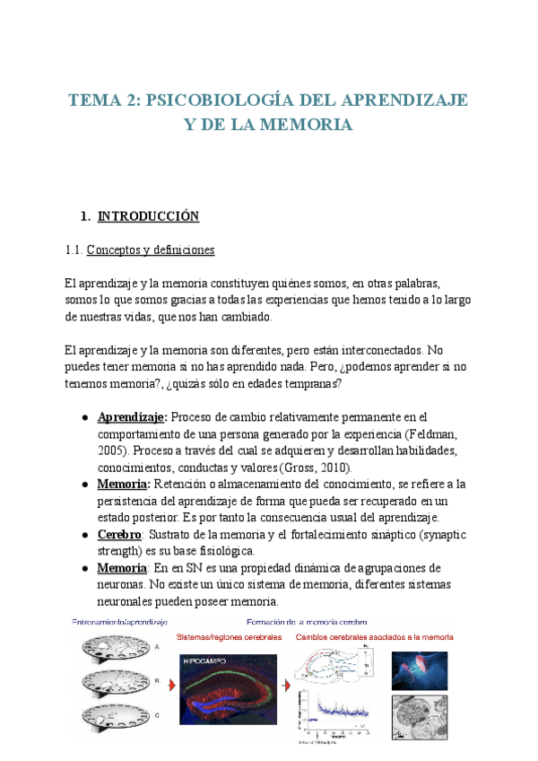 Miniatura del documento TEMA-2-PSICOBIOLOGIA-DEL-APRENDIZAJE Y-LA-MEMORIA.pdf.pdf