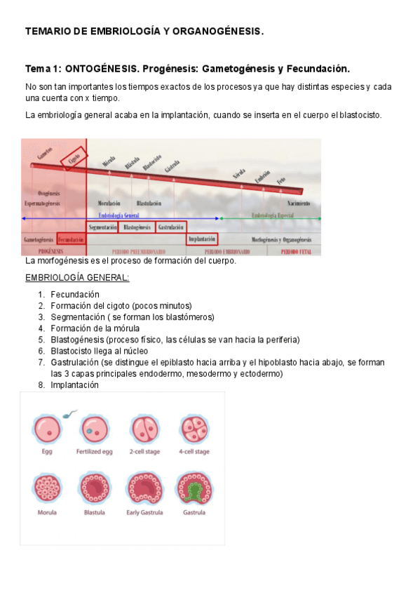 Miniatura del documento Embriologia-Carla.pdf