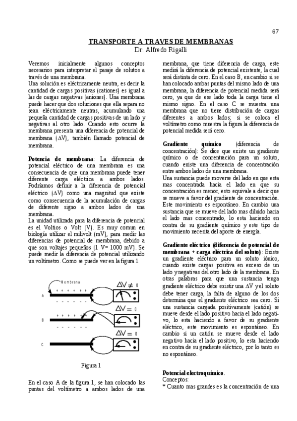 Miniatura del documento transporte-a-traves-de-membranas.pdf