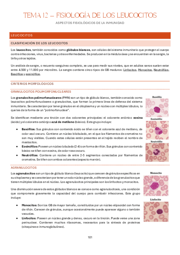 Miniatura del documento Tema-12-Estructura-y-Funcion-del-Cuerpo-Humano-I-Fisiologia.pdf