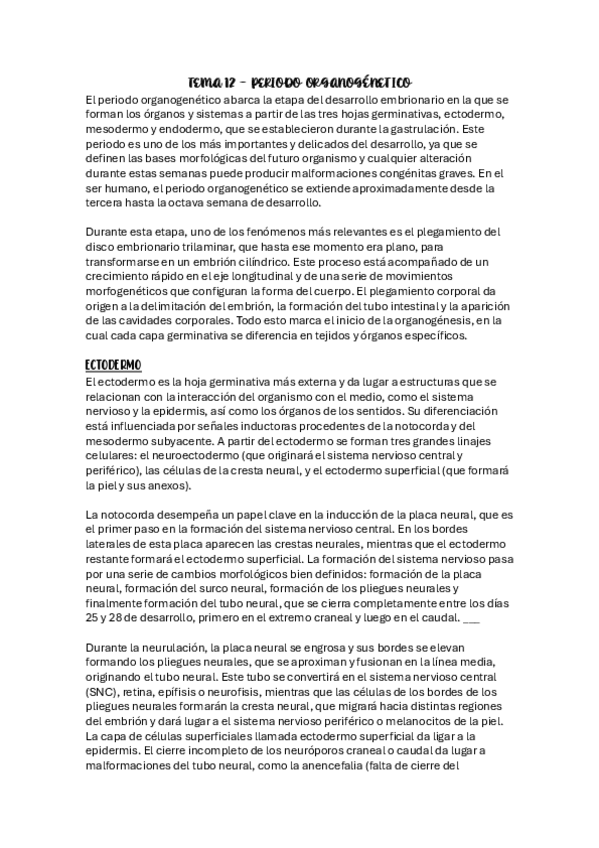 Miniatura del documento TEMA-12-PERIODO-ORGANOGENETICO.pdf