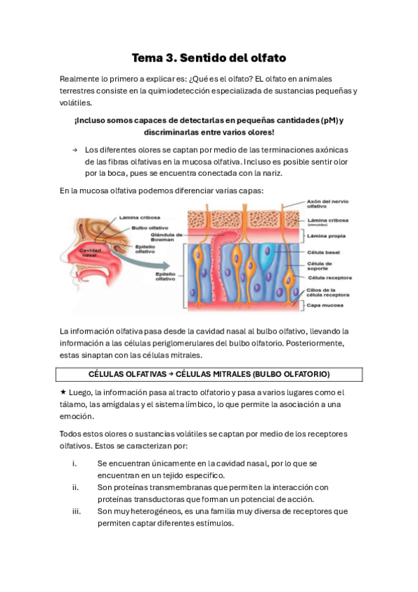 Miniatura del documento Tema-3.-Sentido-del-olfato.pdf