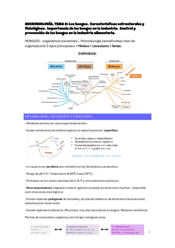 Miniatura del documento APUNTES-TEMA-8.pdf