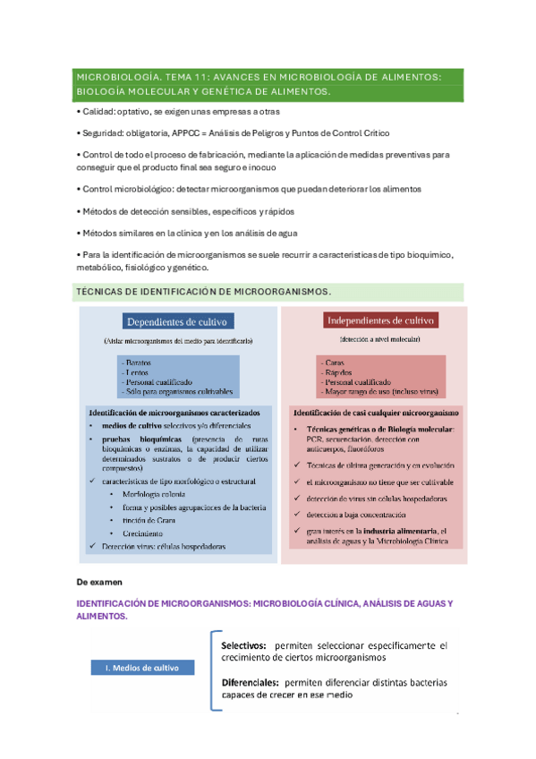 Miniatura del documento APUNTES-TEMA-11.pdf