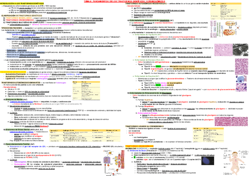 Miniatura del documento T6.pdf