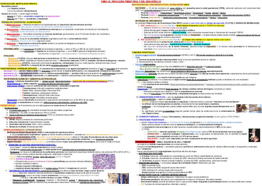 Miniatura del documento T12.pdf