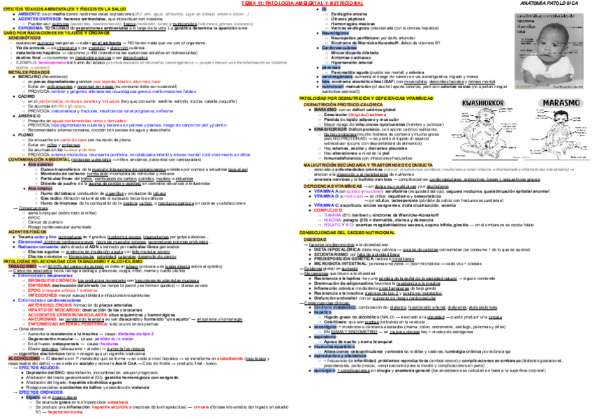 Miniatura del documento T11-AP.pdf