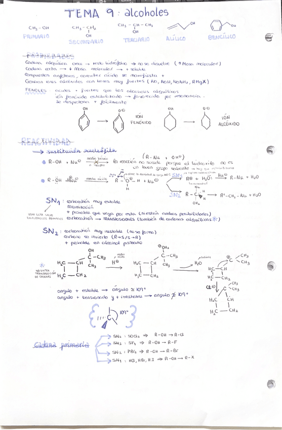 Miniatura del documento Apuntes-Quimica-Organica-PARTE-2.pdf