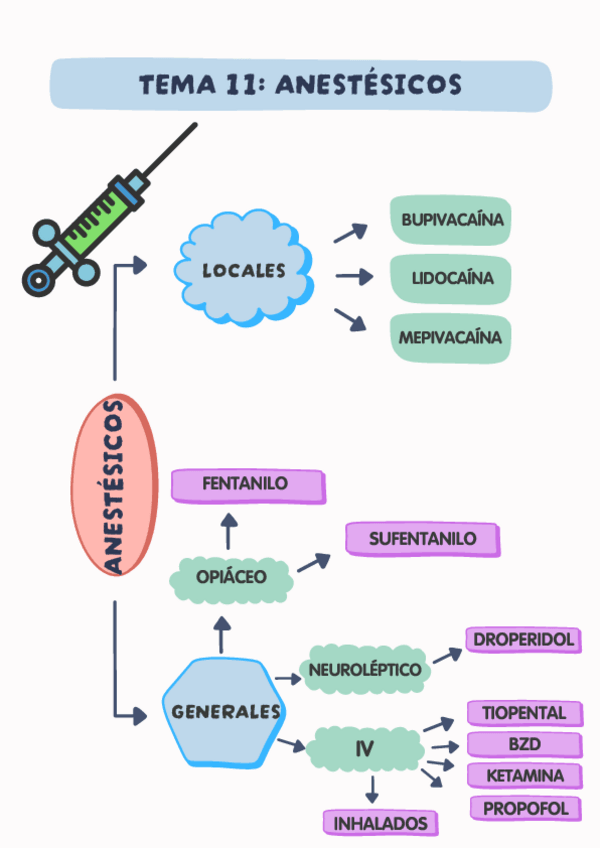 Miniatura del documento Esquema-farmacologia-Temas-11-35.pdf