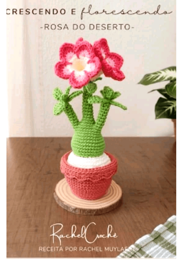 Miniatura del documento rosa-del-desierto.pdf