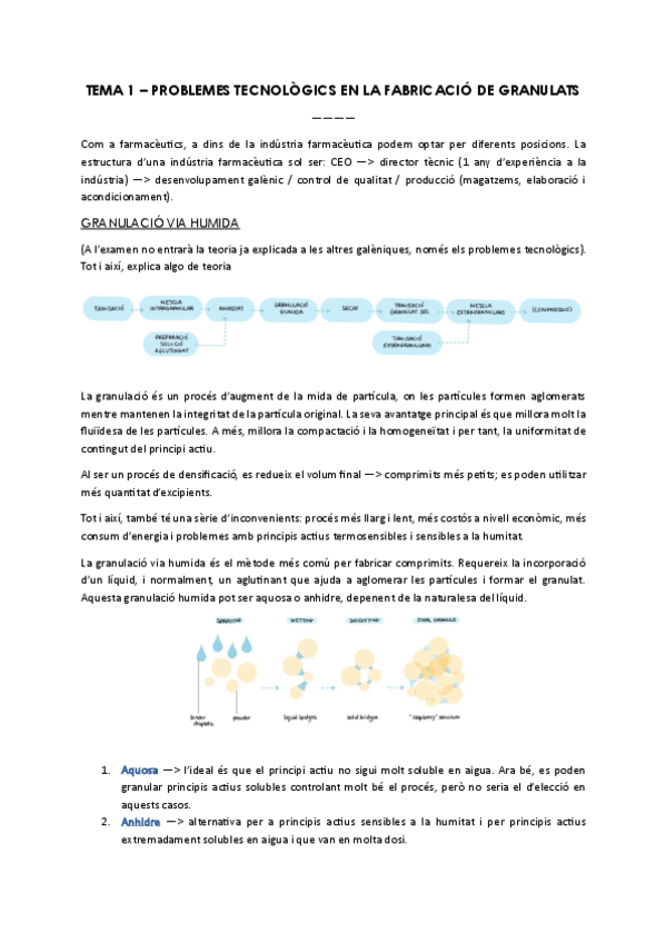Miniatura del documento TOTA-LA-TEORIA-2025-2026.pdf