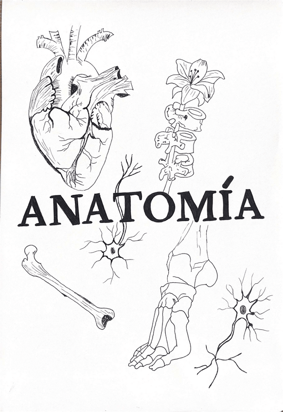 Miniatura del documento cuaderno-practicas..pdf