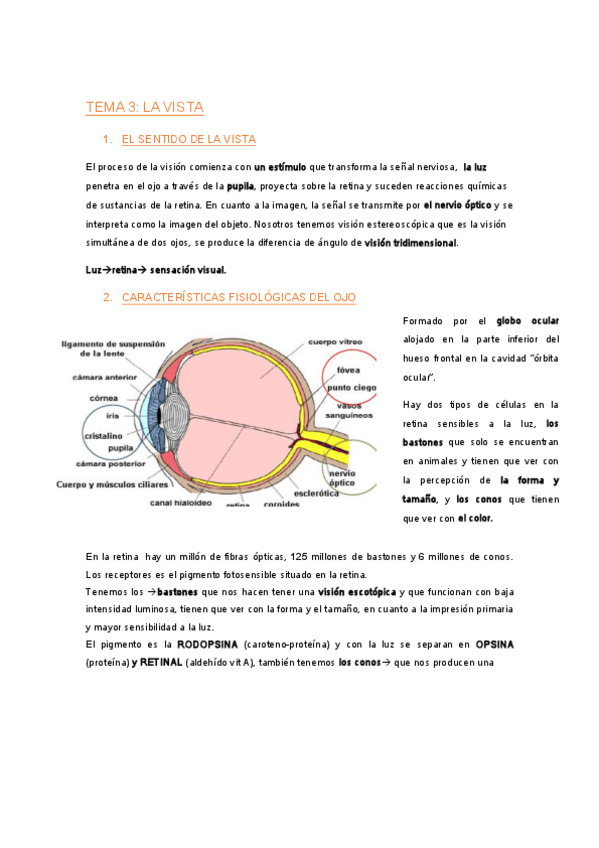 Miniatura del documento TEMA 3.pdf