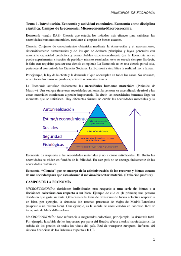 Miniatura del documento Tema 1.docx