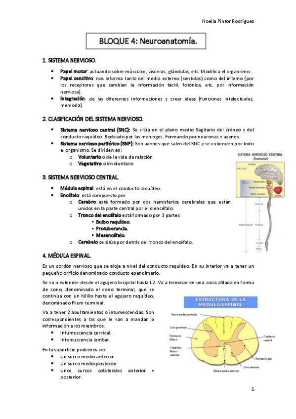 Miniatura del documento neuroanatomia.pdf