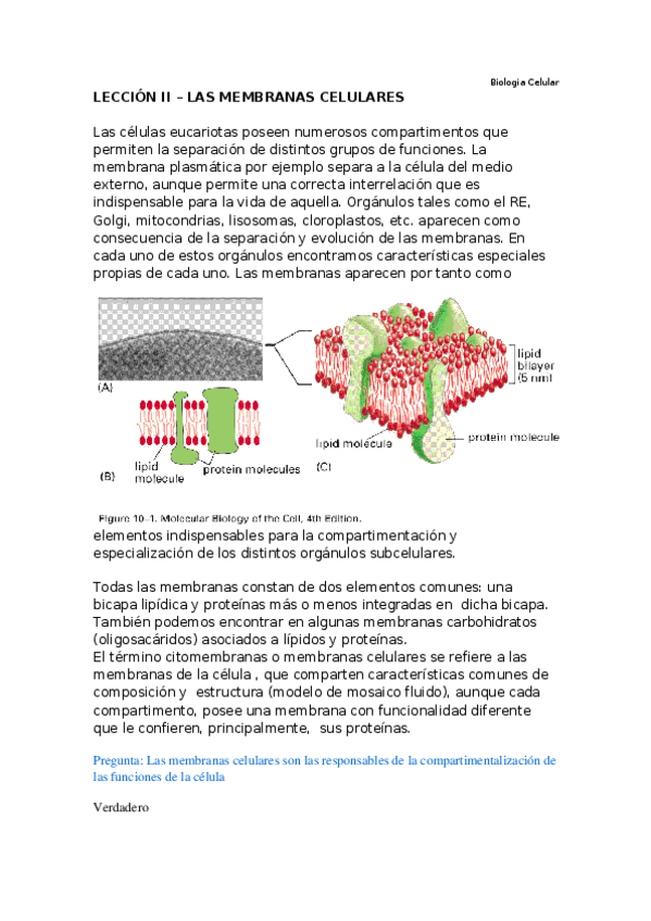 Miniatura del documento Leccion II - Membranas celulares.docx